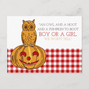 Novo Anúncio de Bebê Pumpkin Owl & Gingham