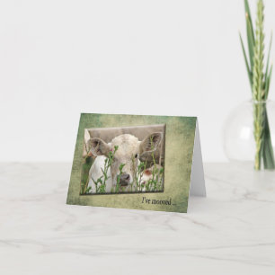 Novo anúncio de endereço