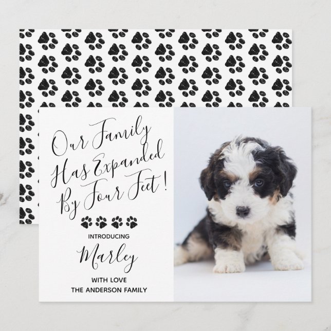 Novo anúncio de "Pet Dog Puppy" (Frente/Verso)