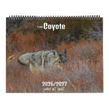 Novo! Calendário 'Eu sou Coyote' 2026/2027