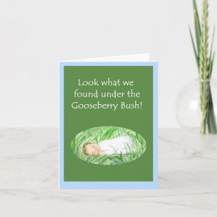 Novo Cartão de Anúncio do Baby Boy - Gooseberry Bu