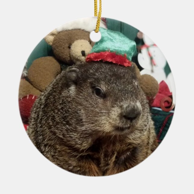 NOVO!  Enfeites de natal Groundhog Moses (Frente)