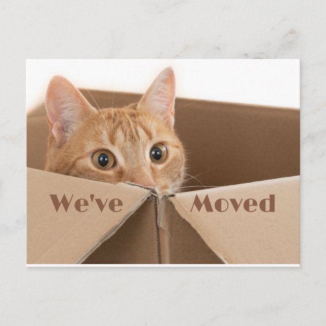 Novo lembrete de endereço divertido, novo cartão p (Frente)