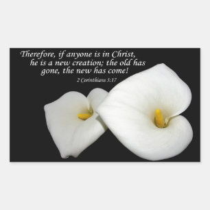 novo na escritura do cristo com etiqueta dos