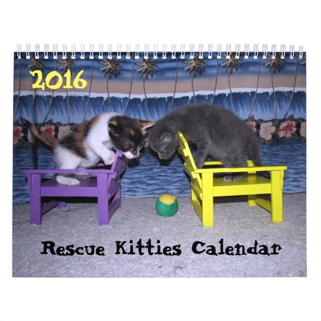 ****NOVO para 2016!!! ***** Calendário de Gatinhos (Capa)
