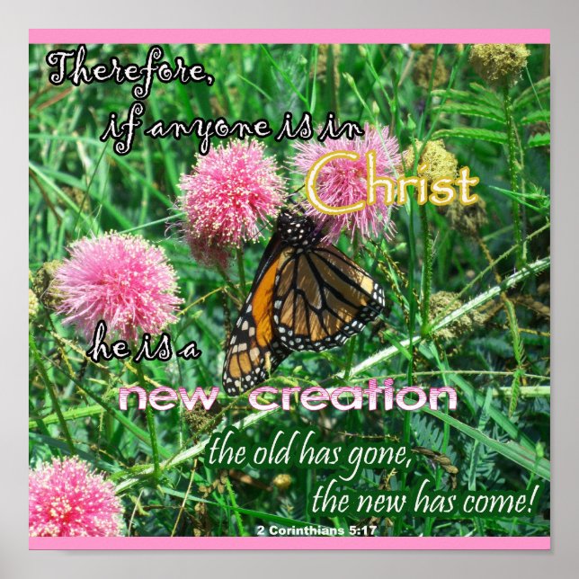 Novo Poster de Criação (Frente)