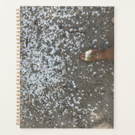 Novos Início e Primeiro Planejador de Etapas