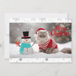 Noz Exótica Shorthair Cat Natal Personalizado