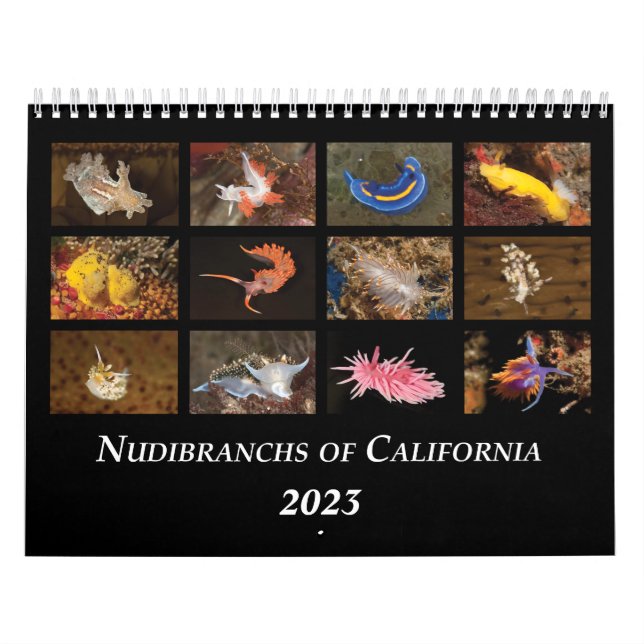 Nudibranchos do Calendário da Califórnia (Capa)