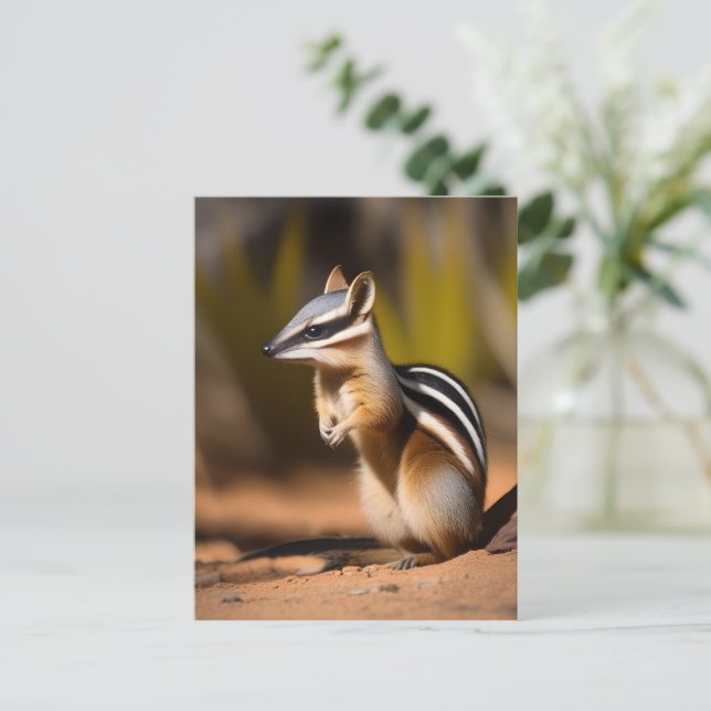 Numbat Australiano, Cartão Postal (Em pé/Frente)