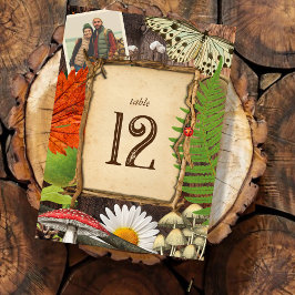 Numeração De Mesa A encantadora natureza russa da floresta inspirou