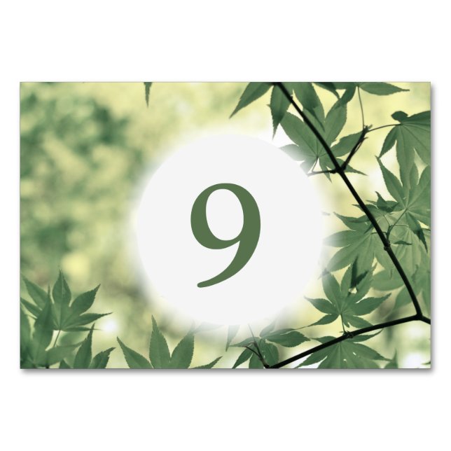 Numeração De Mesa A Luz Solar Através do Mapeamento Deixa Personaliz (Verso)