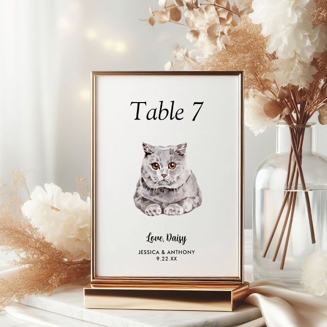 Numeração De Mesa Água-forte Simples de Gato Casamento Moderno  (Criador carregado)