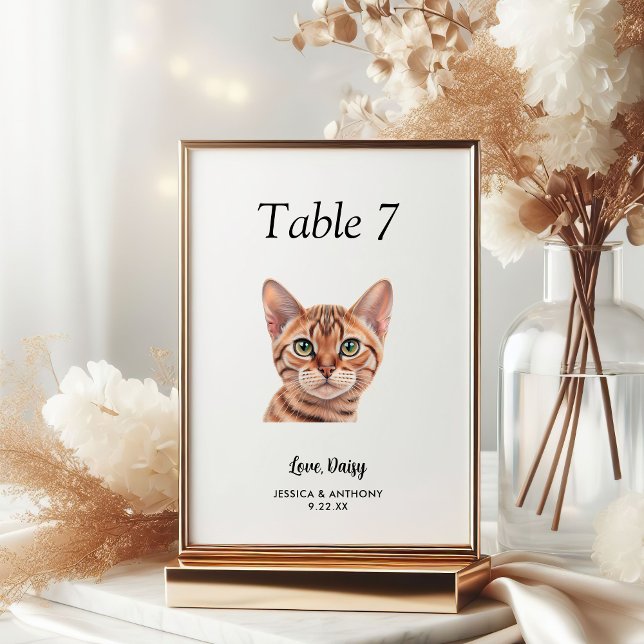 Numeração De Mesa Água-forte Simples de Gato para Casamento  (Criador carregado)