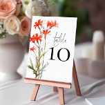 Numeração De Mesa Boho Red Wildflower Script Wedding<br><div class="desc">Boho Red Wildflower Script Número da Tabela de Casamento. Edite e adicione cada número ao carrinho individualmente. A mesa é definida em um script de estilo de escrita manual e seu número de tabela abaixo. Personalize facilmente o número. O mesmo design está do outro lado e será atualizado simultaneamente à...</div>