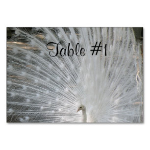 Numeração De Mesa Bonito Peafowl