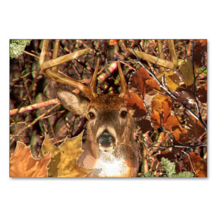 Numeração De Mesa Buck em Camo White Tail Deer