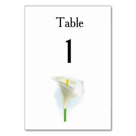 Numeração De Mesa Cala Lily Ideias Simples De Casamento Elegante