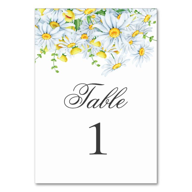 Numeração De Mesa Camomila de verão. Flores de jardim de primavera c (Frente)
