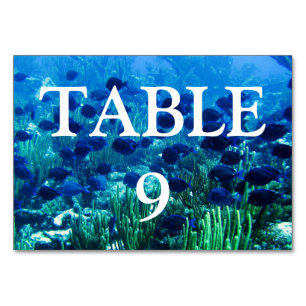 Numeração De Mesa Captura de Peixe de Disco Azul