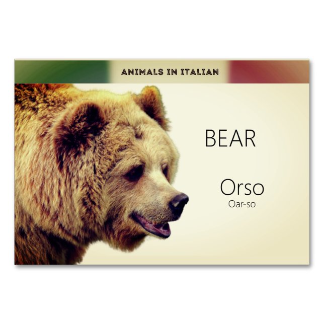 Numeração De Mesa Cartas em língua italiana Bear Animal Flash | Cart (Frente)