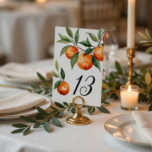 Numeração De Mesa Casamento Citrino   Laranja Mediterrâneo Elegante