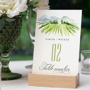 Numeração De Mesa Casamento com vinhas de galinha azul verde-rustica