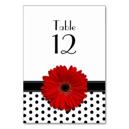 Numeração De Mesa Casamento da Bolinhas Branca Negra-Daisy