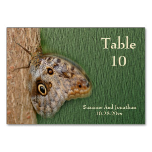Numeração De Mesa Casamento da Natureza da Borboleta Marrom