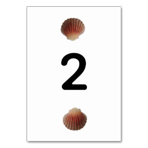 Numeração De Mesa Casamento de Amarros de Seashell de Praia