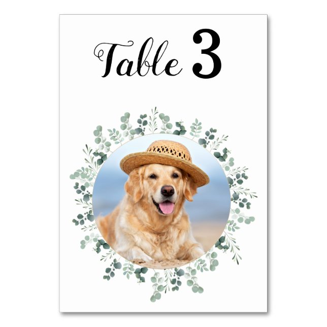 Numeração De Mesa Casamento de Fotos Elegante Moderno Eucalyptus (Frente)