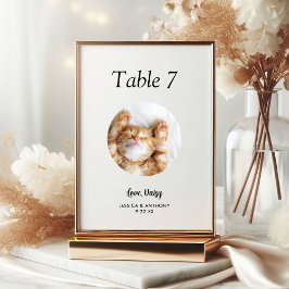 Numeração De Mesa Casamento de Gato Simples Preto e Branco em Foto