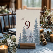 Casamento de Inverno com Natureza Mal-humorada