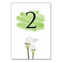 Casamento de Lírios Calla Branco