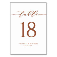 Casamento de Script Simples e Minimalista Terracot