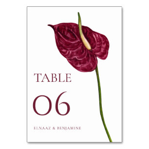 Numeração De Mesa Casamento Floral de Anthurium com Aquarela Minimal