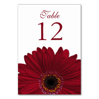 Numeração De Mesa Casamento Profundo de Gerbera Daisy White