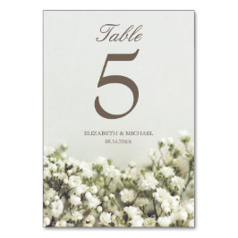 Numeração De Mesa Casamento Respiratório de Vintage Baby