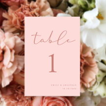 Casamento Rosa