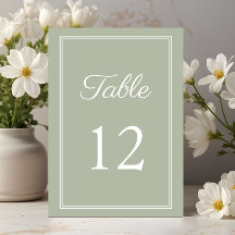 Casamento Verde Sage Moderno e Elegante