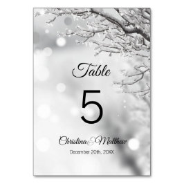 Numeração De Mesa Cerimônia de Casamento de Neve na Wonderland Winte