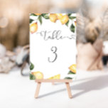 Numeração De Mesa Chá de panela de limões Elegante<br><div class="desc">Limões Elegantes Número da Tabela de chás de panela Número Correspondente aos itens disponíveis.</div>