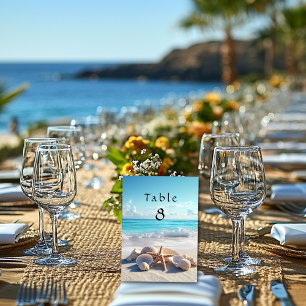 Numeração De Mesa Conchas Belas Estrela do Mar Casamento na Praia 