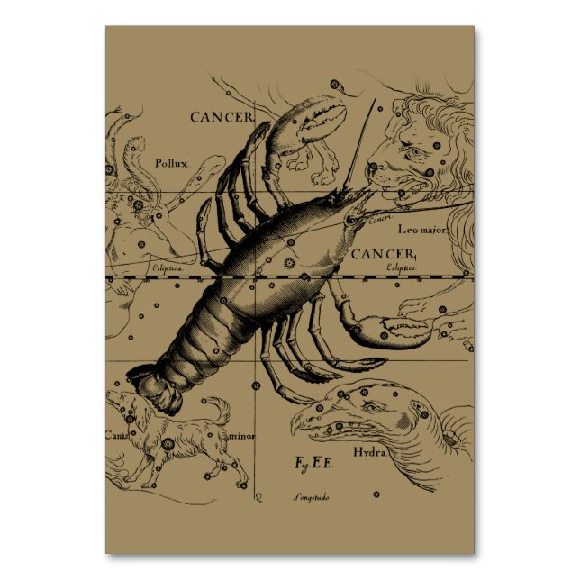Numeração De Mesa Constelação cancer Hevelius 1690 de junho de 21 a  (Frente)