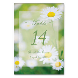 Numeração De Mesa Daisy Daisies Fllower Floral Summer Table Number
