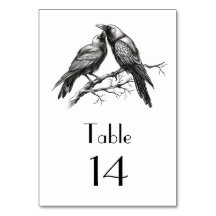 Esboço do amante do corvo