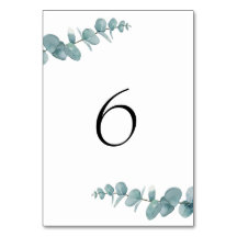 Eucalipto minimalista botânico