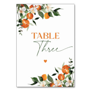 Numeração De Mesa Eucalyptus oranges citrinos quadro número três