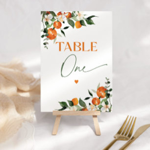 Numeração De Mesa Eucalyptus oranges citrinos quadro número um