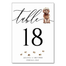 Filhote de Cavapoo marrom Assinatura Caligrafia Ca